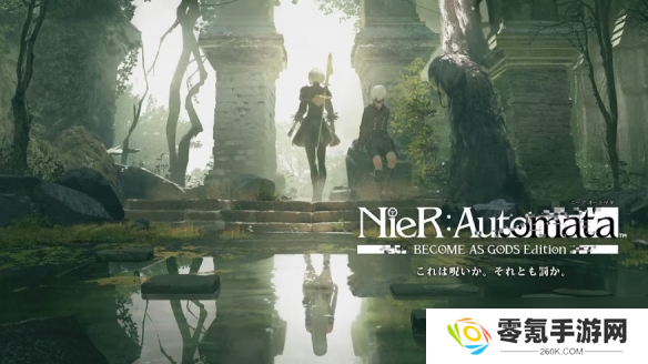 《尼尔》系列15周年!巨量信息曝光!会有新作消息吗