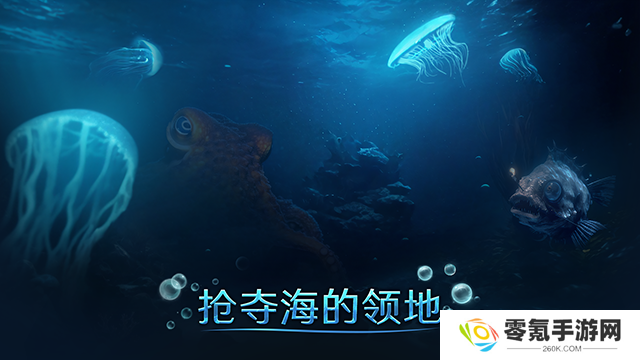 小小水世界国际服