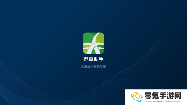 野草助手tv版软件下载