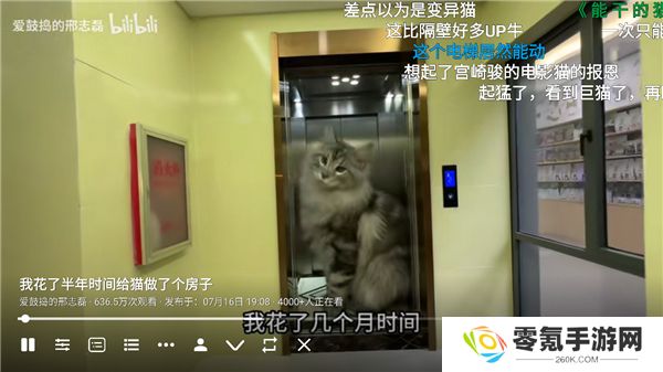bbll电视版下载