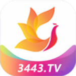影视工场app下载官方版