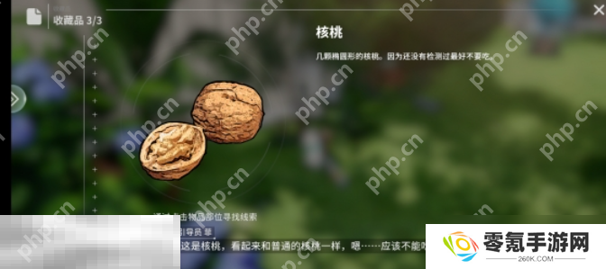 开放空间瓶中小径收藏品在哪 开放空间瓶中小径收藏品位置一览