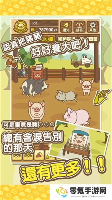 养猪场MIX最新版本