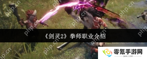 剑灵2拳师值不值得练,近战天花板剖析